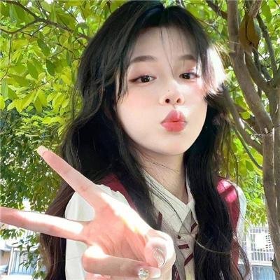 少数意见